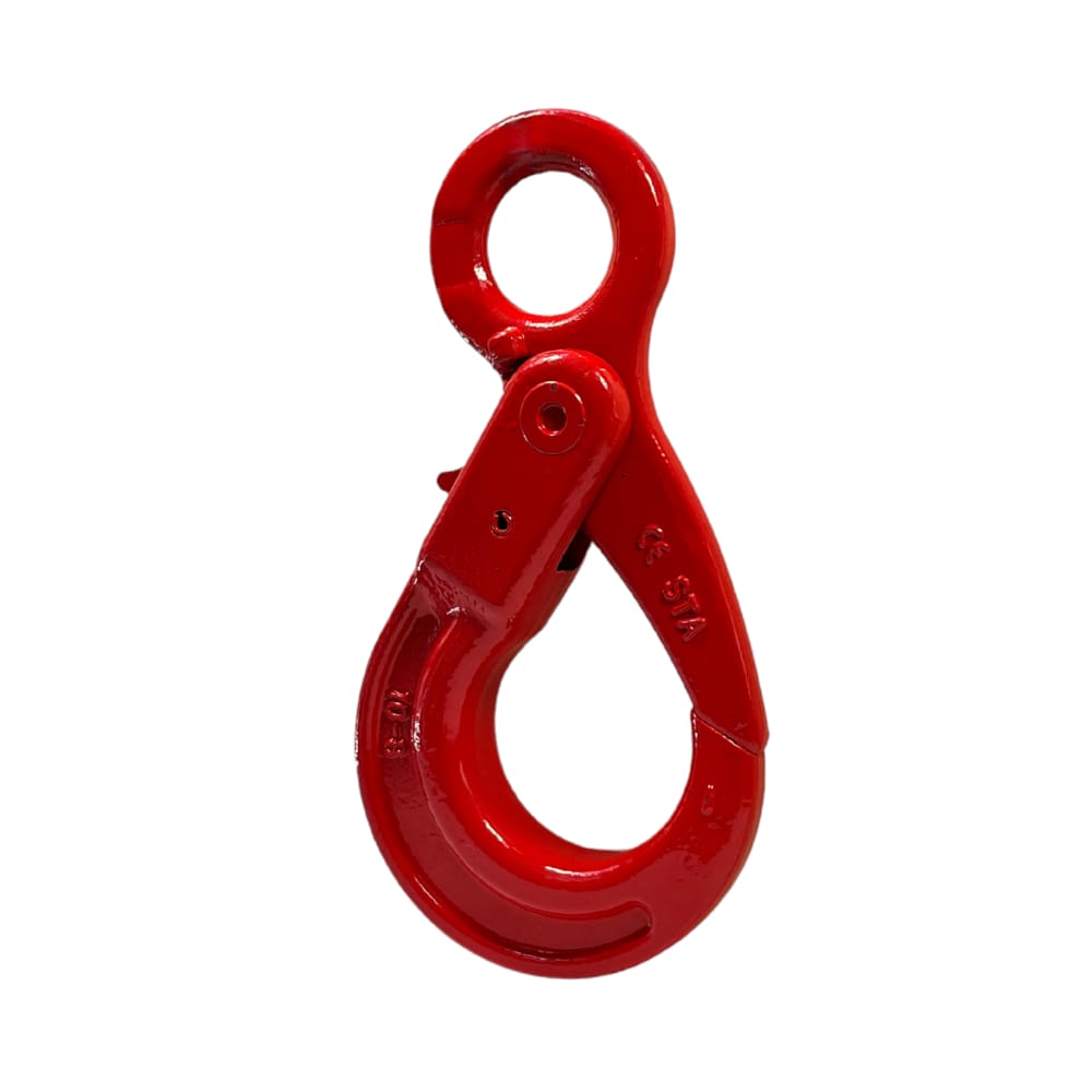 Hak z uchem i automatycznym zabezpieczeniem klasy 8 LE