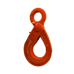 Hak z uchem i automatycznym zabezpieczeniem klasy 10